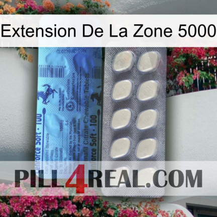 Exten Zone 5000 34